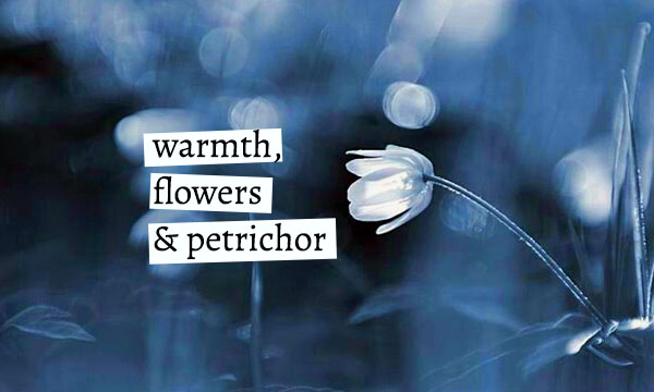 Warmth, Flowers and Petrichor